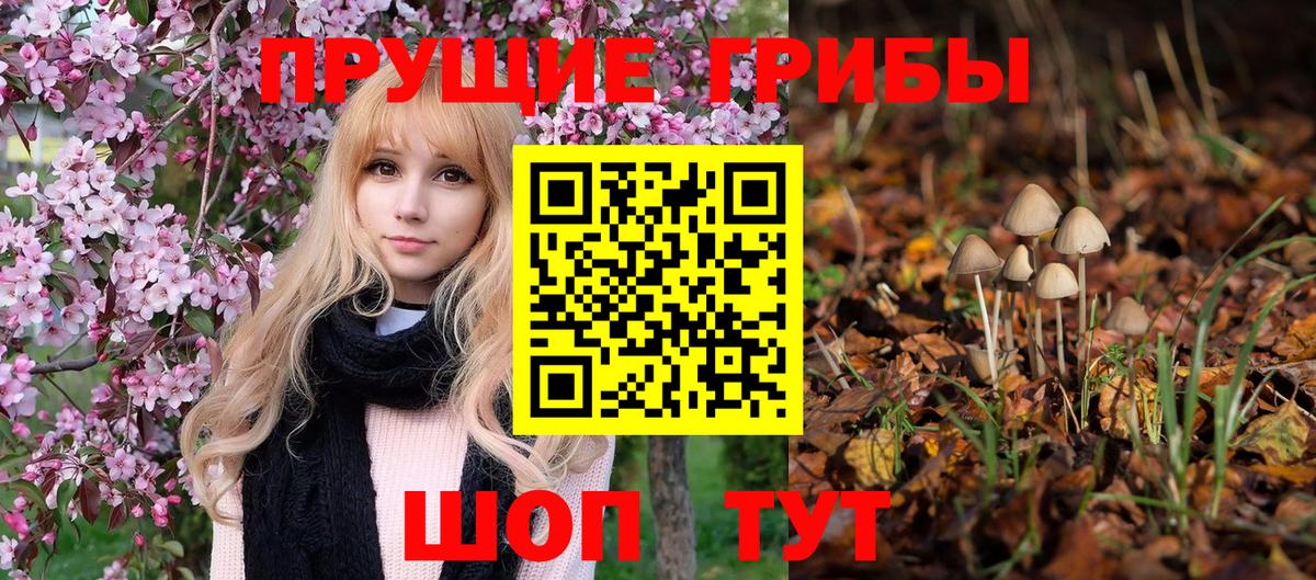 Галлюциногенные грибы Magic Shrooms Острогожск