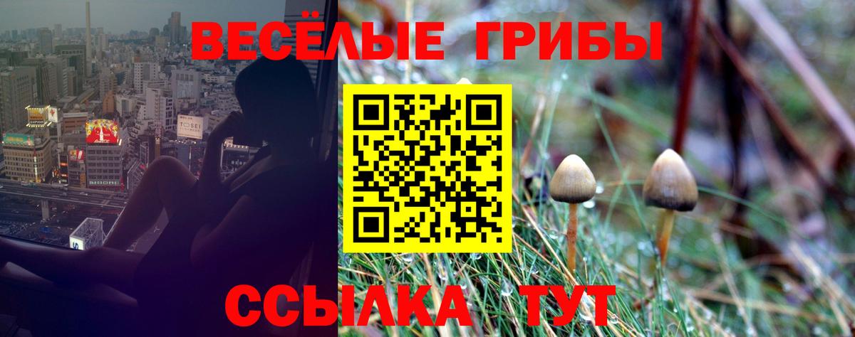 Псилоцибиновые грибы мухоморы  Псилоцибиновые грибы Psilocybe  купить наркоту  Острогожск  Вход с VPN 